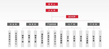 上海点硕科技 专业网站建设、小程序开发与全网综合营销服务