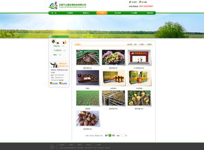 奥远科技 云南领先的网站建设与App开发技术服务商
